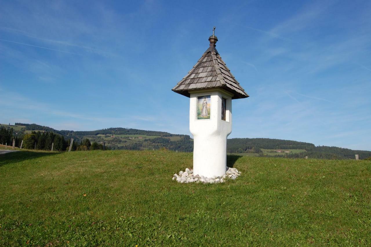 Apartamento Urlaub Am Zechnerhof Straßburg in Kärnten Exterior foto